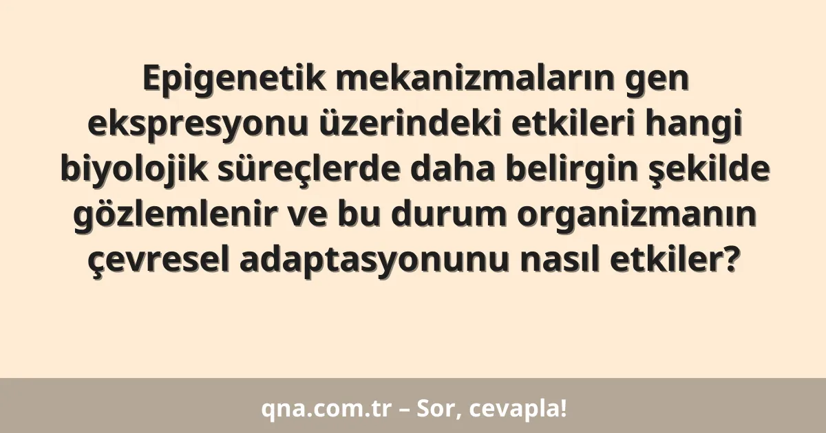 Epigenetik mekanizmaların gen ekspresyonu üzerindeki etkileri hangi biyolojik süreçlerde daha belirgin şekilde gözlemlenir ve bu durum organizmanın çevresel adaptasyonunu nasıl etkiler?