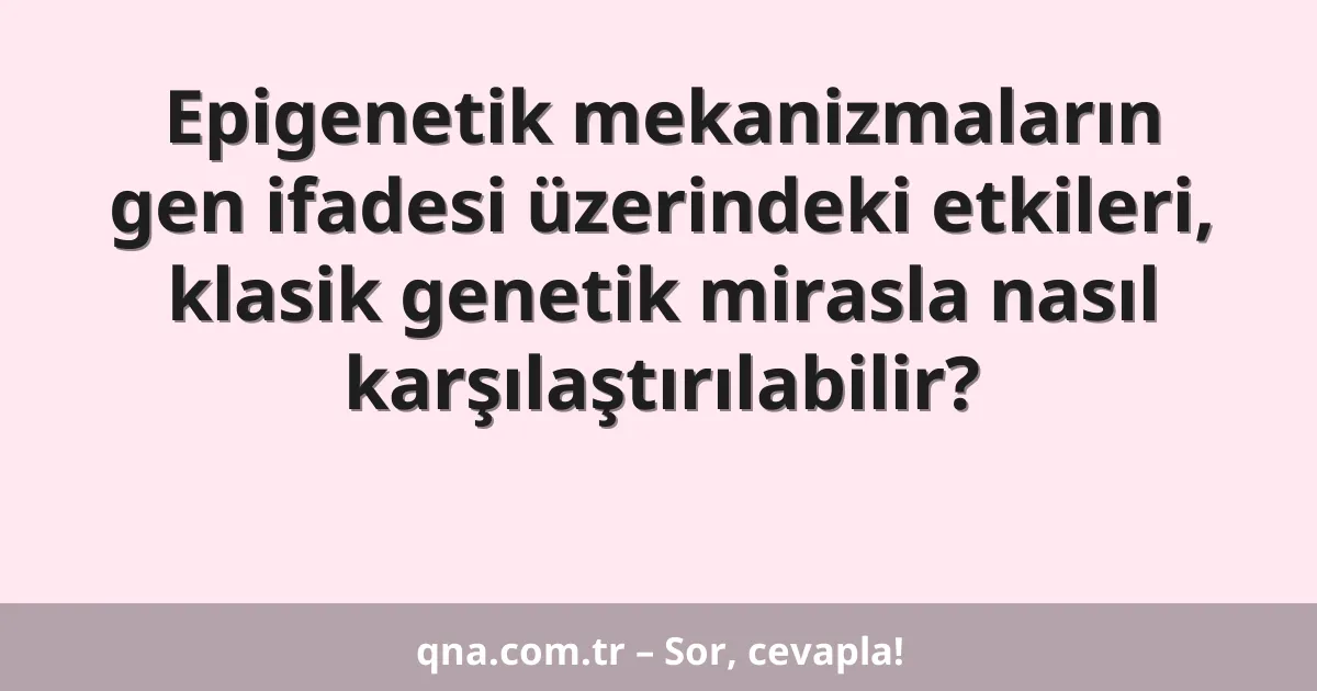 Epigenetik mekanizmaların gen ifadesi üzerindeki etkileri, klasik genetik mirasla nasıl karşılaştırılabilir?