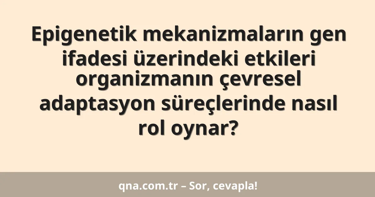 Epigenetik mekanizmaların gen ifadesi üzerindeki etkileri organizmanın çevresel adaptasyon süreçlerinde nasıl rol oynar?