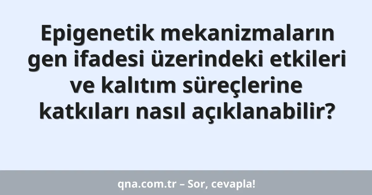 Epigenetik mekanizmaların gen ifadesi üzerindeki etkileri ve kalıtım süreçlerine katkıları nasıl açıklanabilir?
