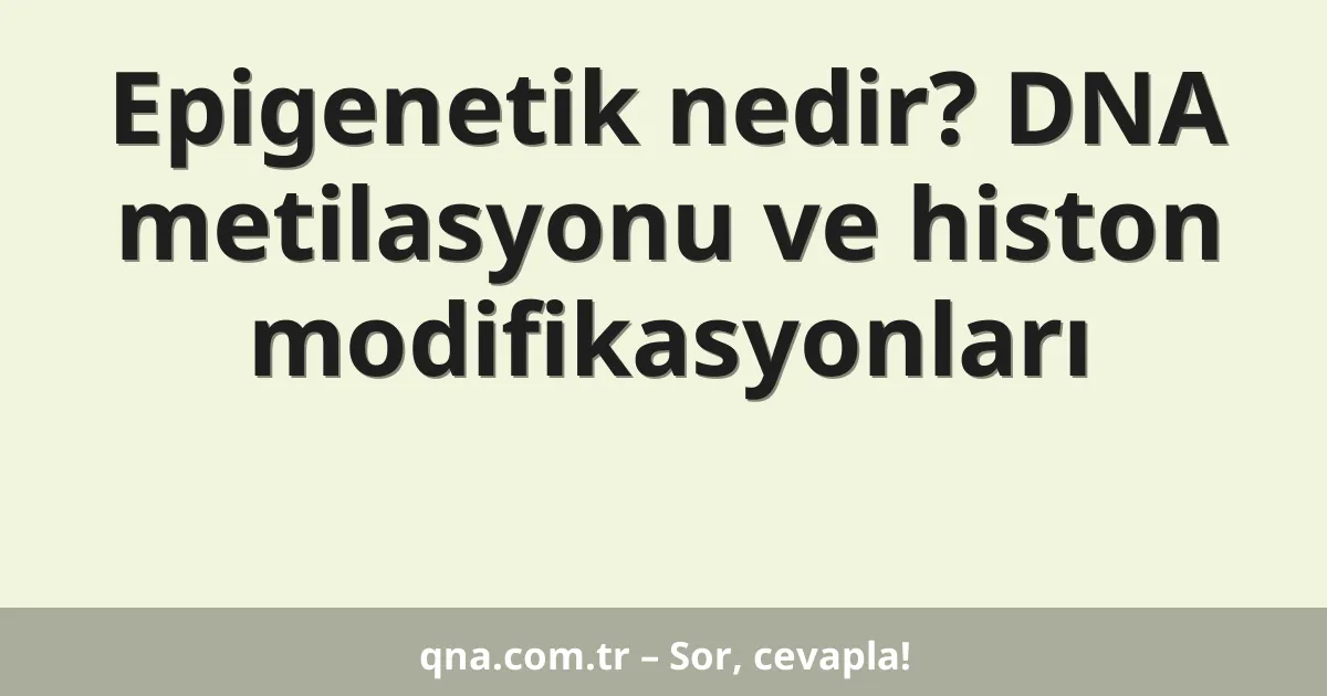Epigenetik nedir? DNA metilasyonu ve histon modifikasyonları