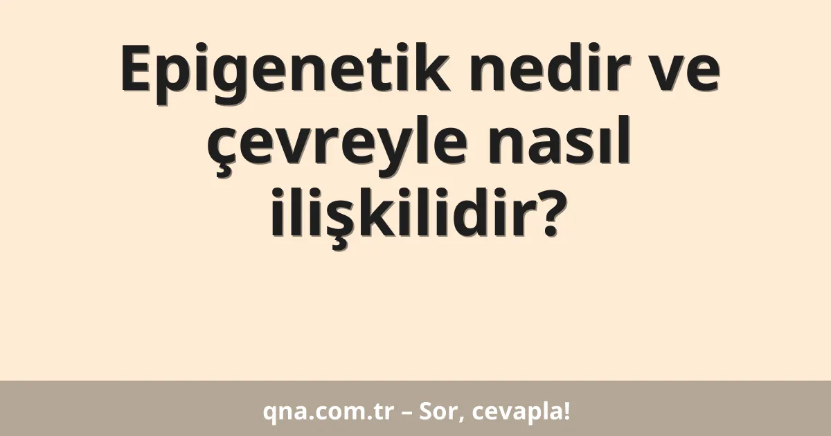 Epigenetik nedir ve çevreyle nasıl ilişkilidir?
