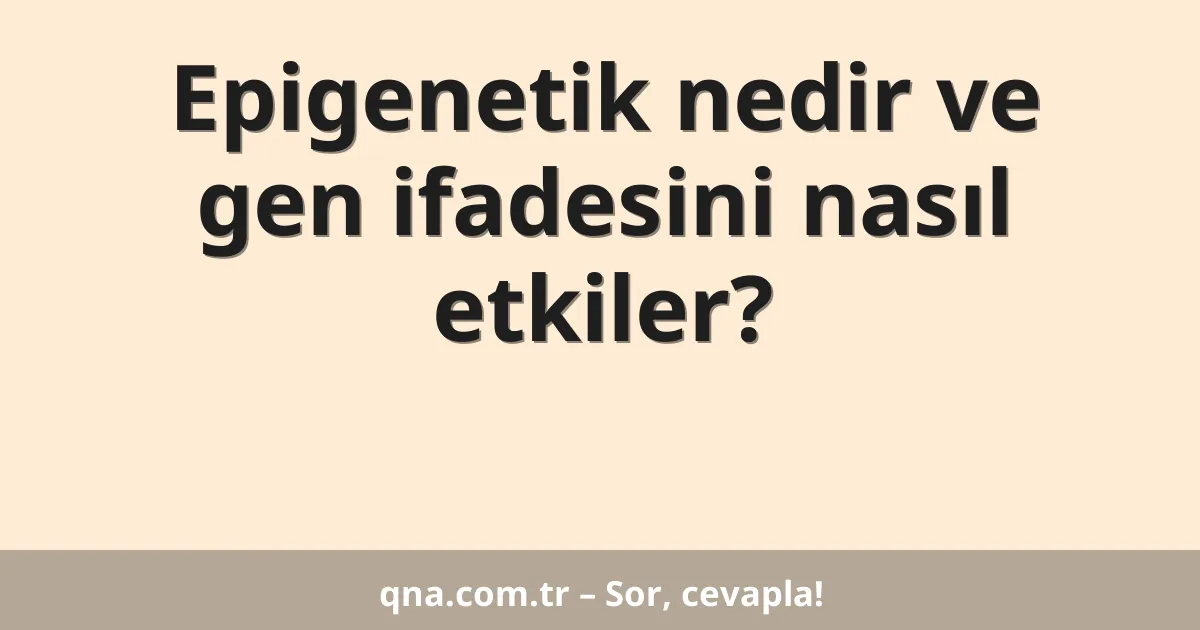 Epigenetik nedir ve gen ifadesini nasıl etkiler?