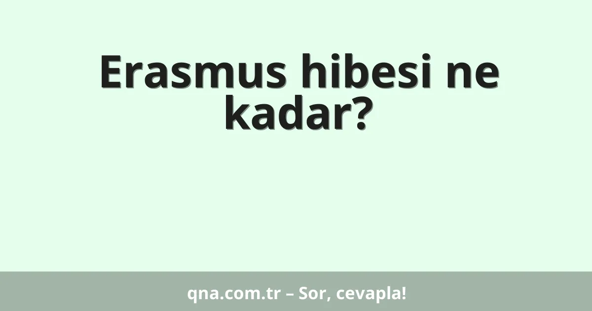 Erasmus hibesi ne kadar?