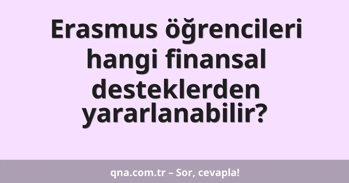 Erasmus öğrencileri hangi finansal desteklerden yararlanabilir?