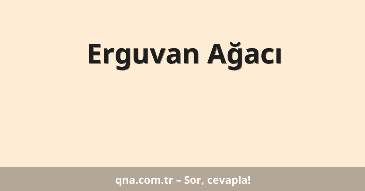 Erguvan Ağacı