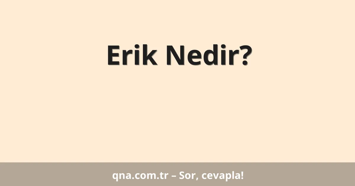 Erik Nedir?