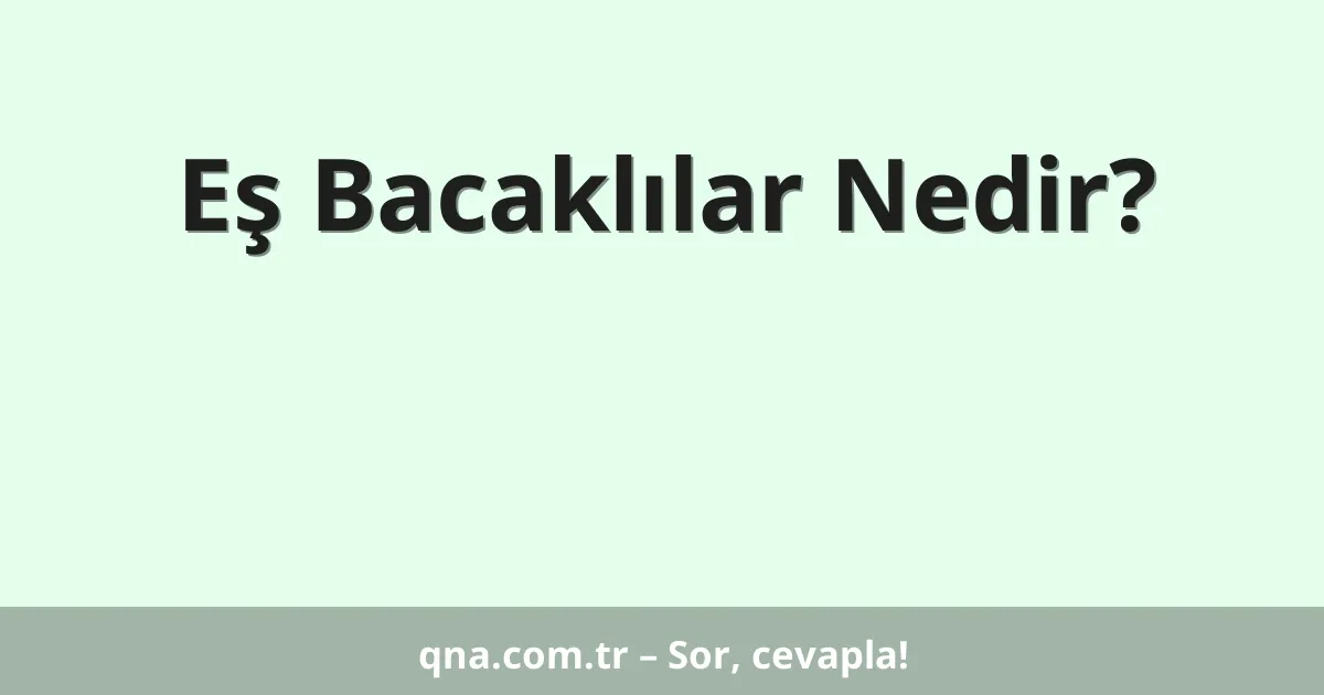 Eş Bacaklılar Nedir?
