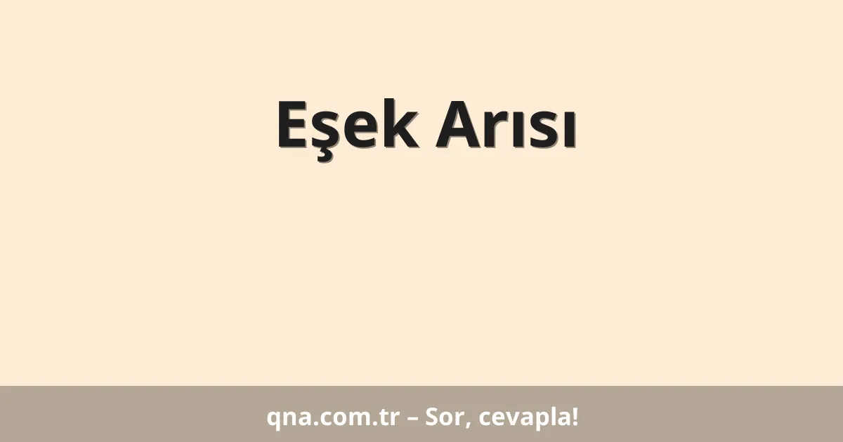 Eşek Arısı