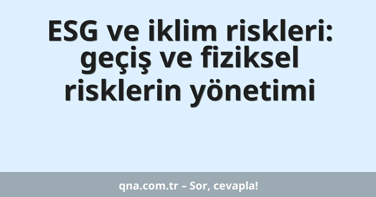 ESG ve iklim riskleri: geçiş ve fiziksel risklerin yönetimi