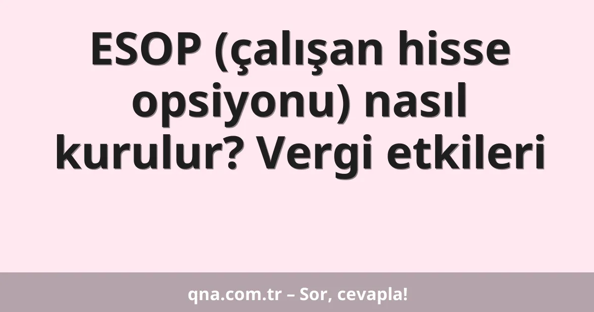 ESOP (çalışan hisse opsiyonu) nasıl kurulur? Vergi etkileri