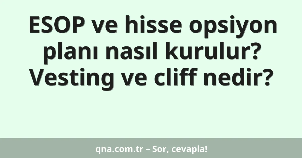 ESOP ve hisse opsiyon planı nasıl kurulur? Vesting ve cliff nedir?