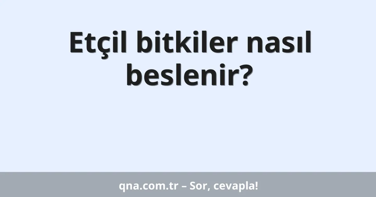 Etçil bitkiler nasıl beslenir?