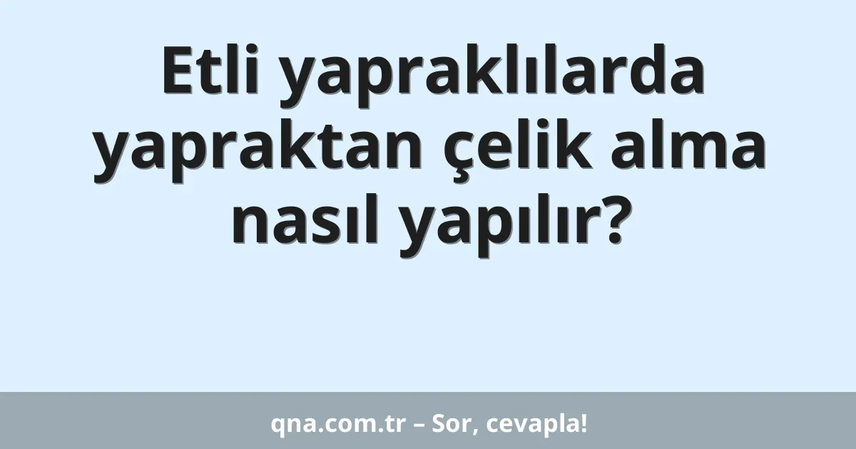 Etli yapraklılarda yapraktan çelik alma nasıl yapılır?