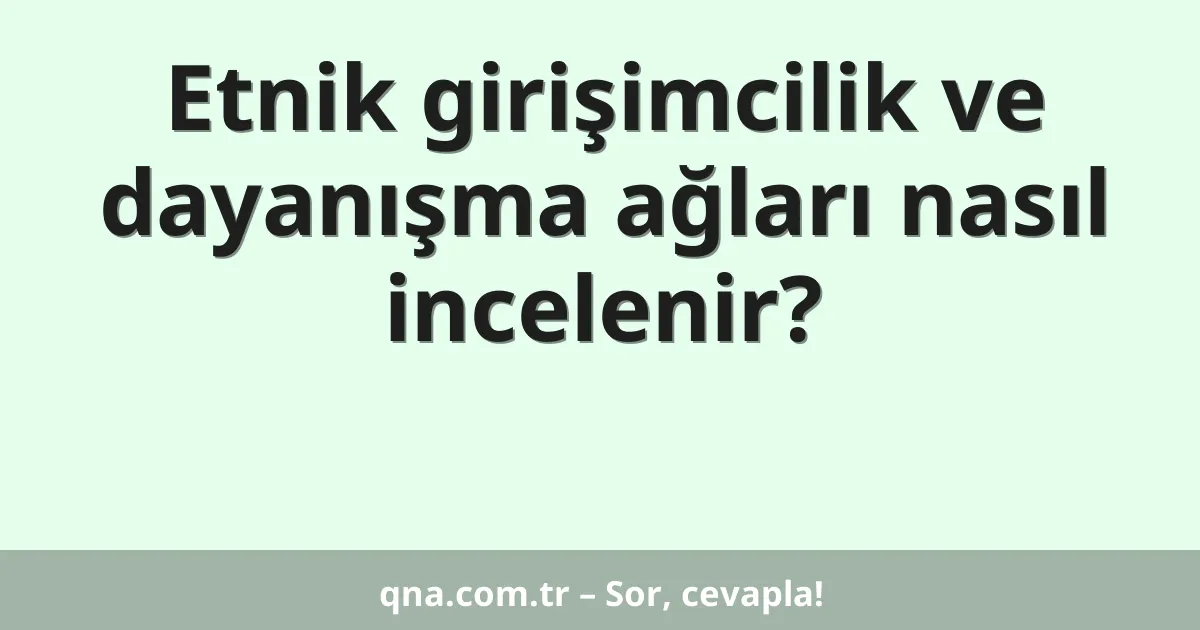 Etnik girişimcilik ve dayanışma ağları nasıl incelenir?