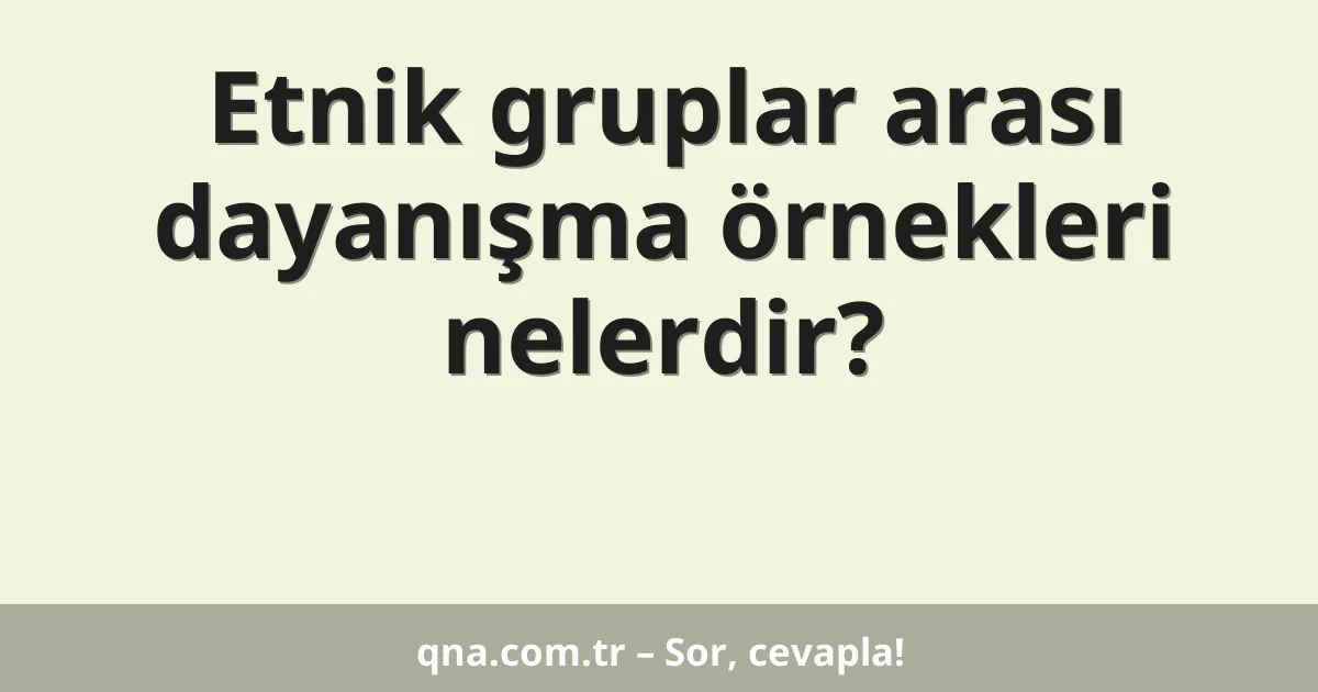 Etnik gruplar arası dayanışma örnekleri nelerdir?