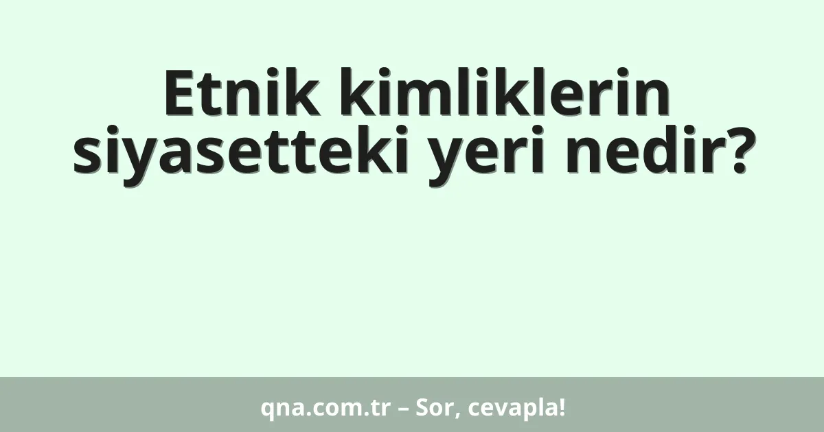 Etnik kimliklerin siyasetteki yeri nedir?