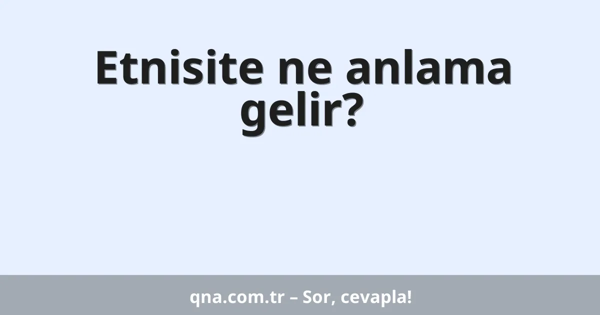 Etnisite ne anlama gelir?