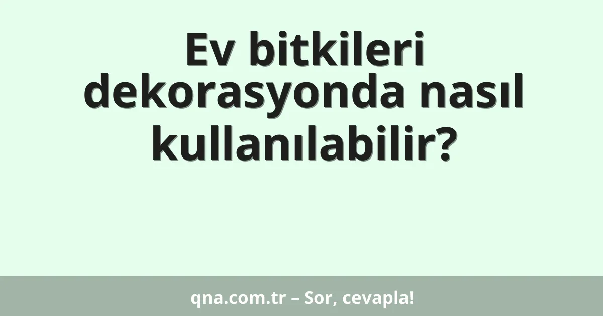 Ev bitkileri dekorasyonda nasıl kullanılabilir?