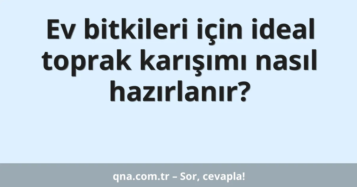 Ev bitkileri için ideal toprak karışımı nasıl hazırlanır?