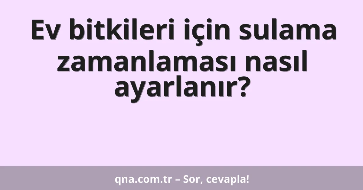 Ev bitkileri için sulama zamanlaması nasıl ayarlanır?