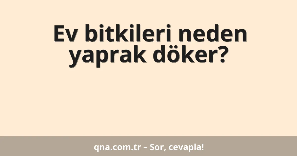 Ev bitkileri neden yaprak döker?