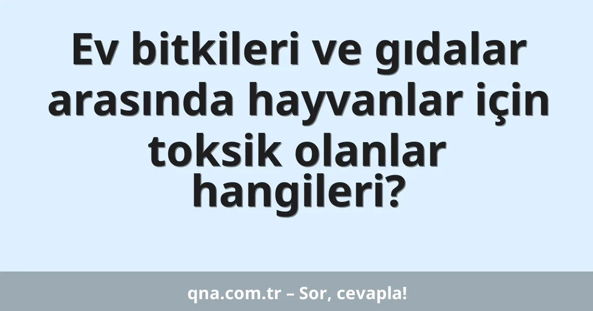 Ev bitkileri ve gıdalar arasında hayvanlar için toksik olanlar hangileri?