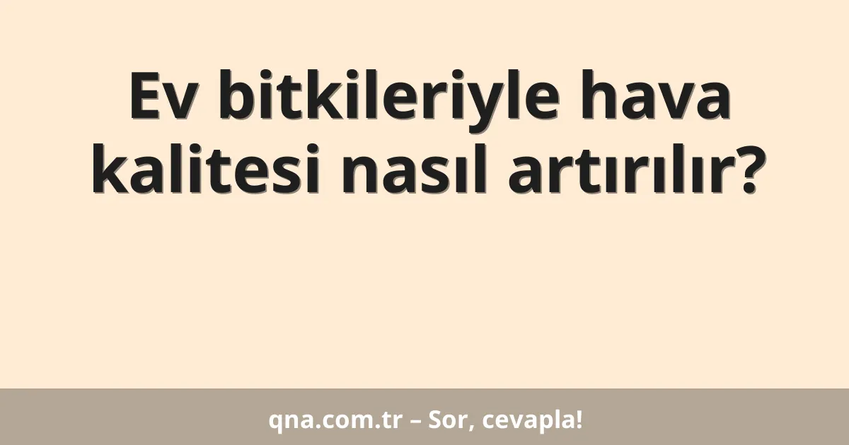 Ev bitkileriyle hava kalitesi nasıl artırılır?