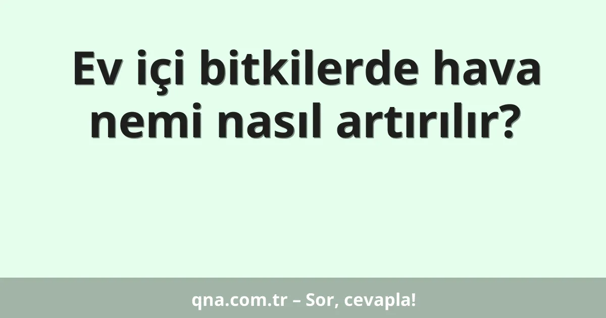 Ev içi bitkilerde hava nemi nasıl artırılır?