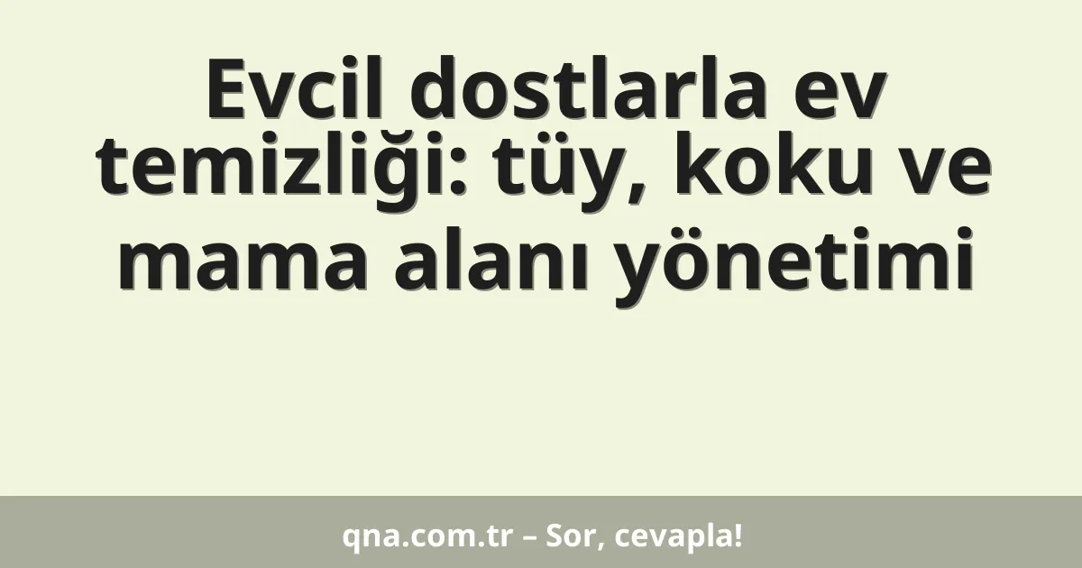 Evcil dostlarla ev temizliği: tüy, koku ve mama alanı yönetimi