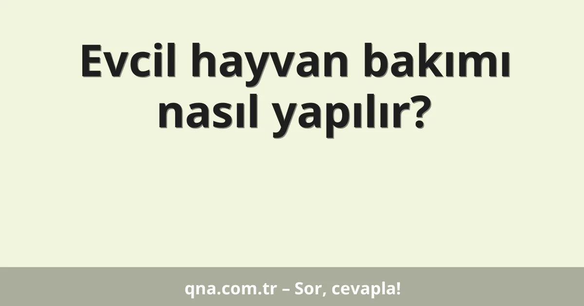 Evcil hayvan bakımı nasıl yapılır?