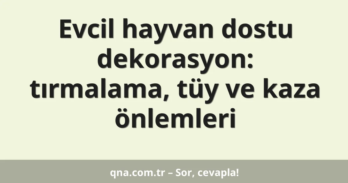 Evcil hayvan dostu dekorasyon: tırmalama, tüy ve kaza önlemleri