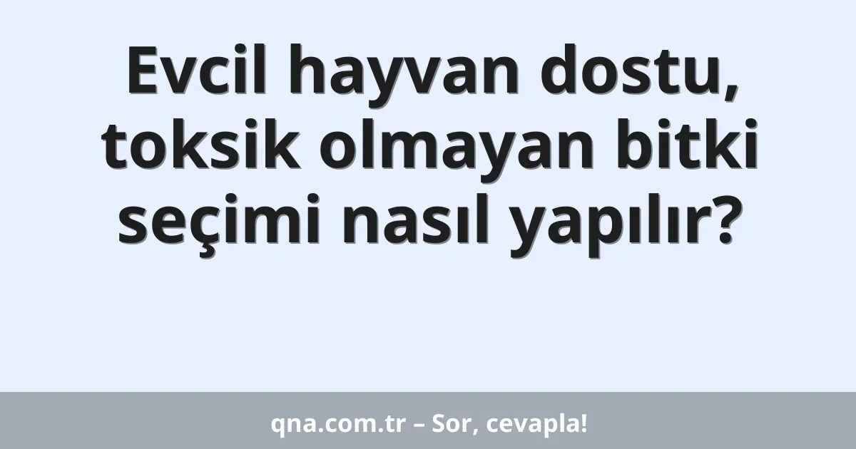 Evcil hayvan dostu, toksik olmayan bitki seçimi nasıl yapılır?