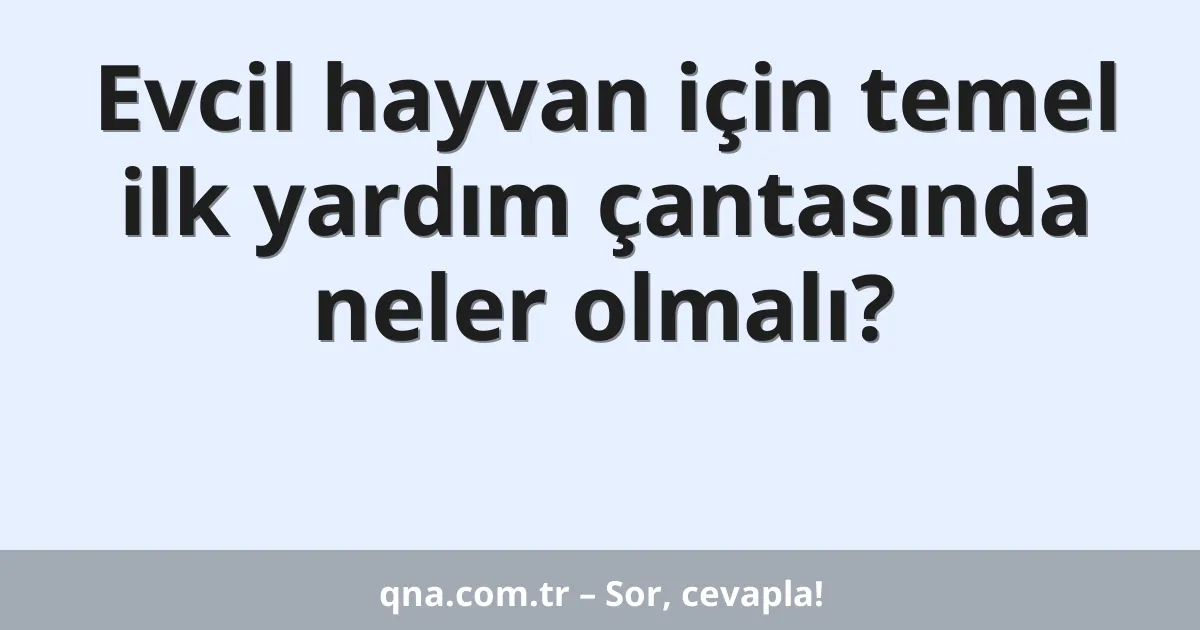 Evcil hayvan için temel ilk yardım çantasında neler olmalı?