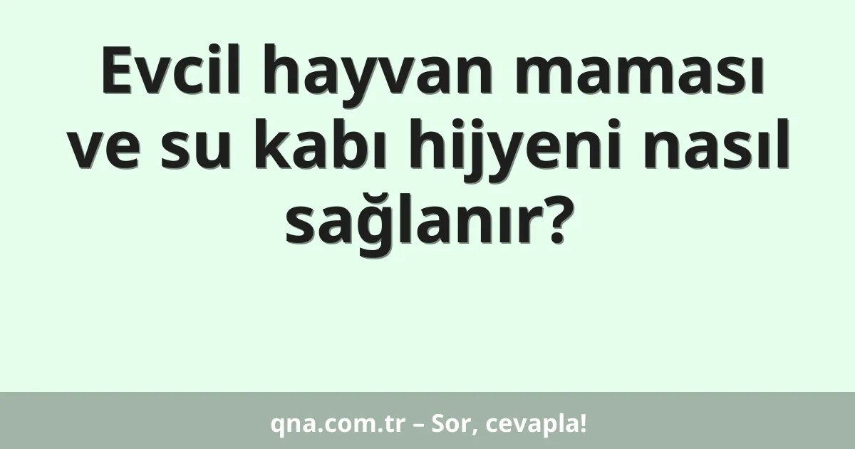Evcil hayvan maması ve su kabı hijyeni nasıl sağlanır?