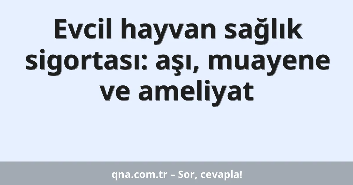 Evcil hayvan sağlık sigortası: aşı, muayene ve ameliyat
