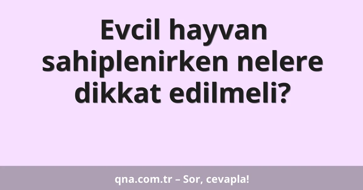 Evcil hayvan sahiplenirken nelere dikkat edilmeli?