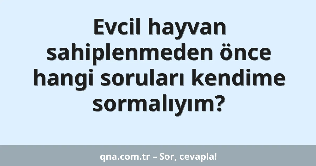 Evcil hayvan sahiplenmeden önce hangi soruları kendime sormalıyım?