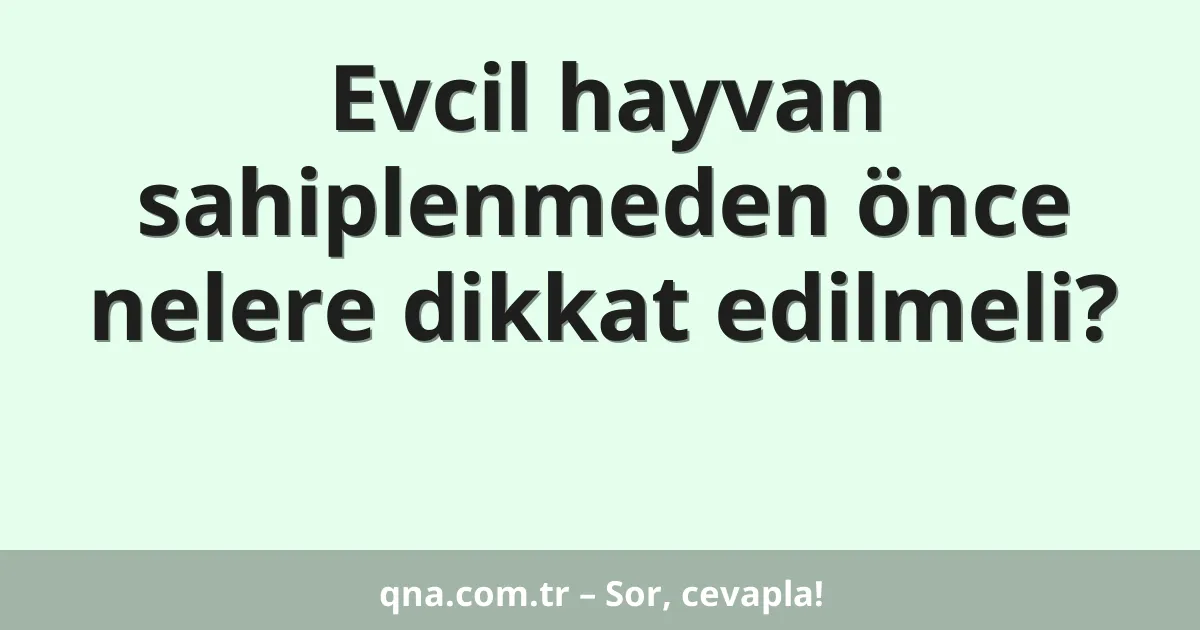 Evcil hayvan sahiplenmeden önce nelere dikkat edilmeli?