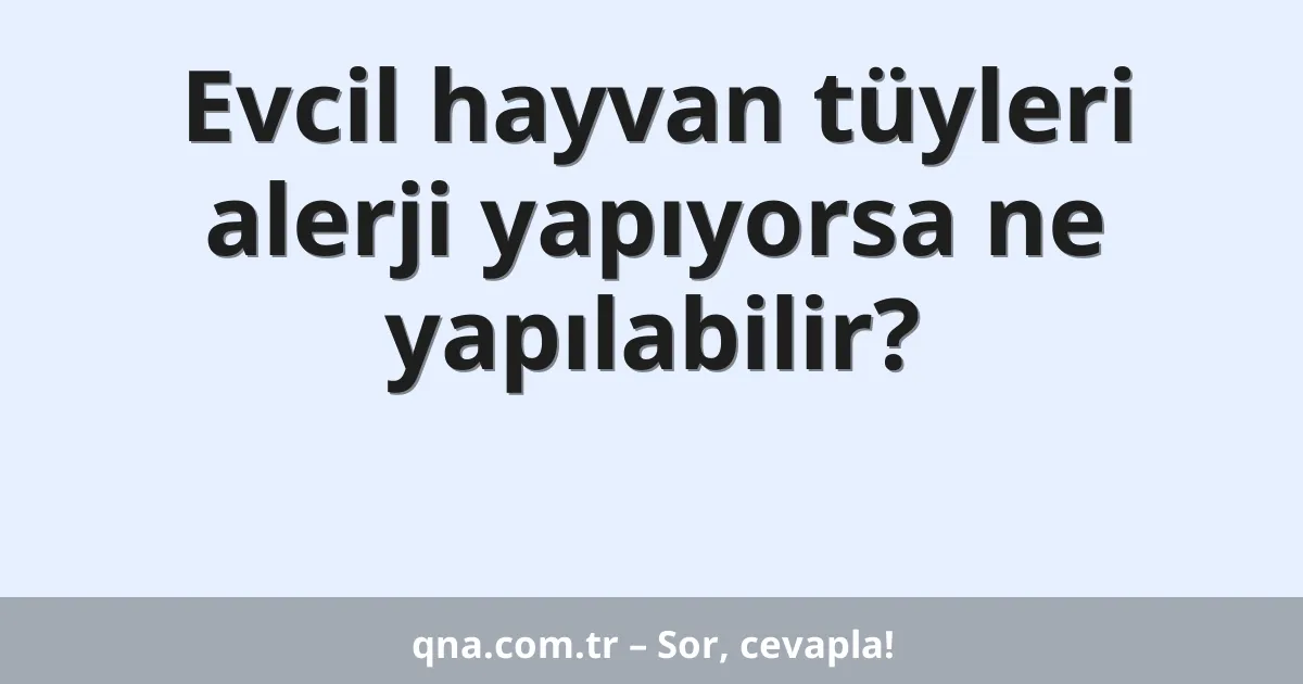 Evcil hayvan tüyleri alerji yapıyorsa ne yapılabilir?