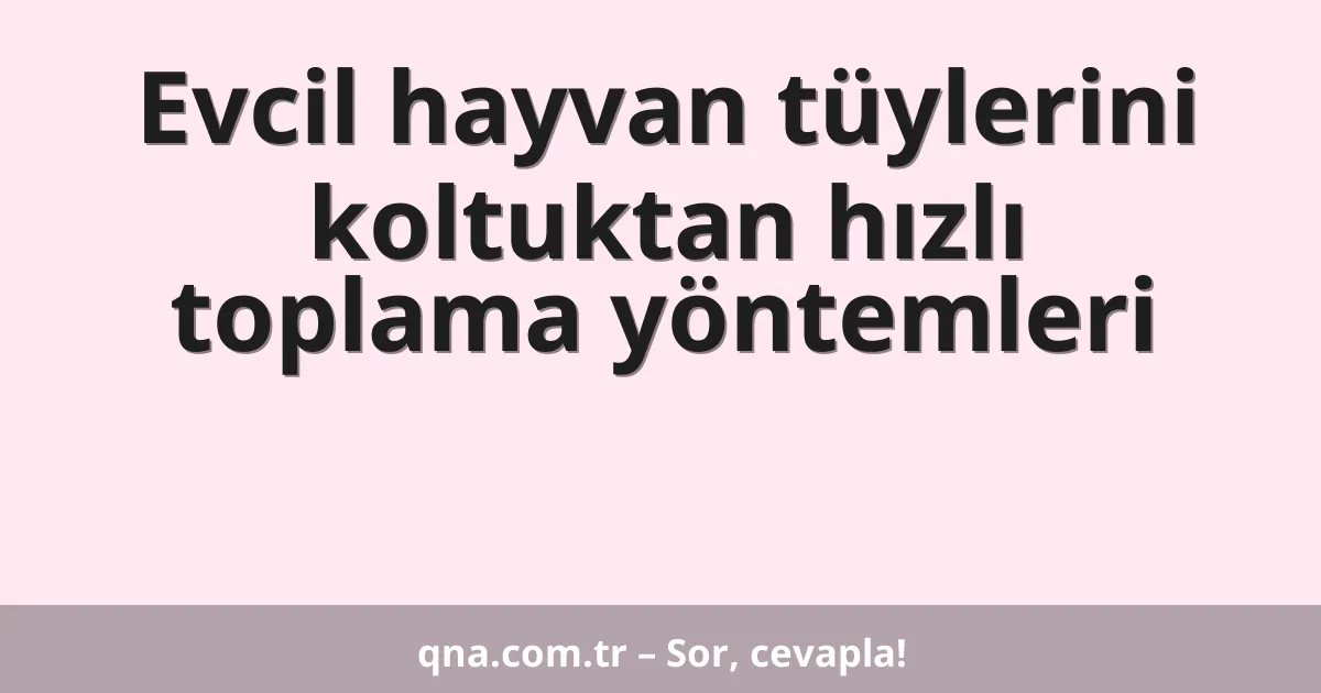 Evcil hayvan tüylerini koltuktan hızlı toplama yöntemleri