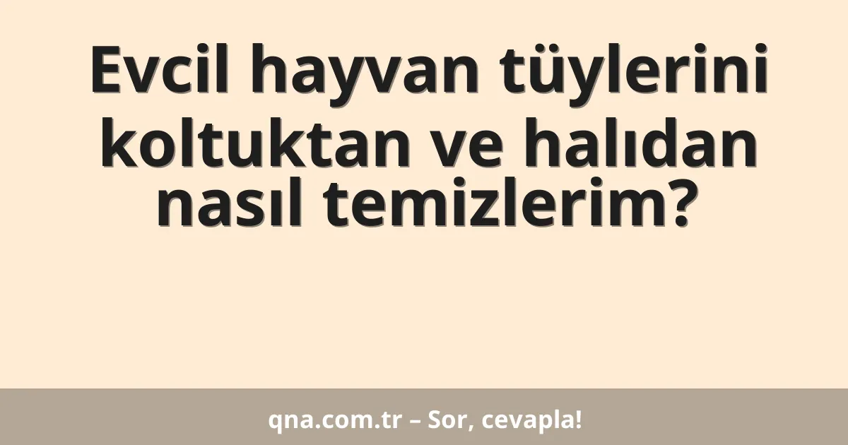Evcil hayvan tüylerini koltuktan ve halıdan nasıl temizlerim?