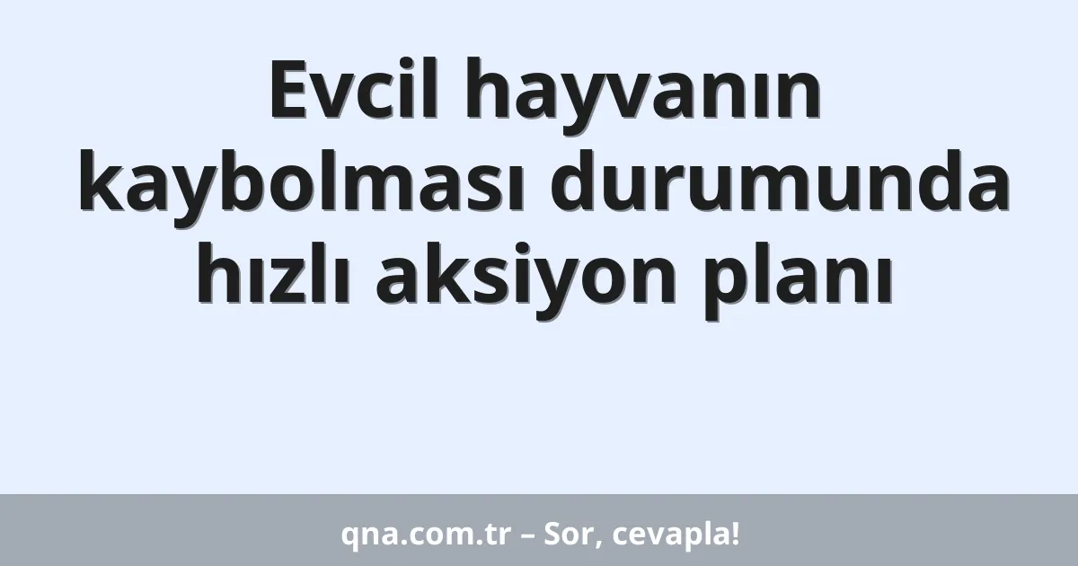 Evcil hayvanın kaybolması durumunda hızlı aksiyon planı