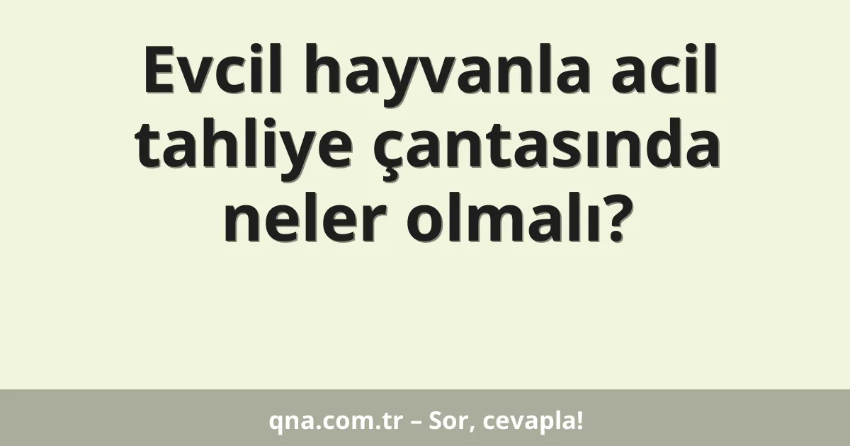Evcil hayvanla acil tahliye çantasında neler olmalı?