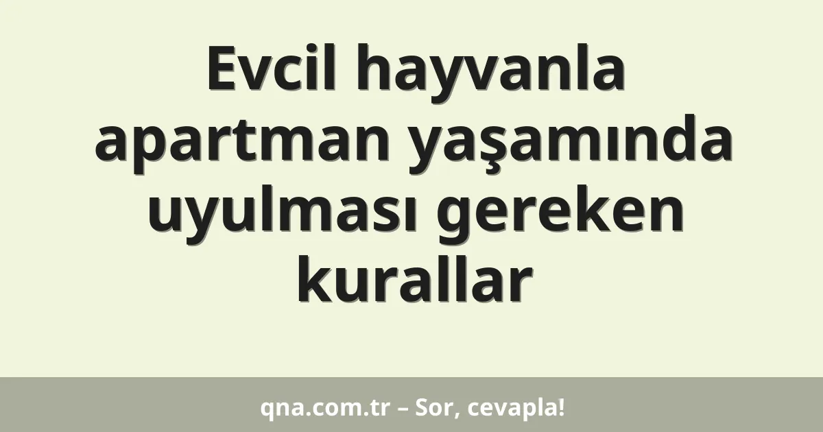 Evcil hayvanla apartman yaşamında uyulması gereken kurallar