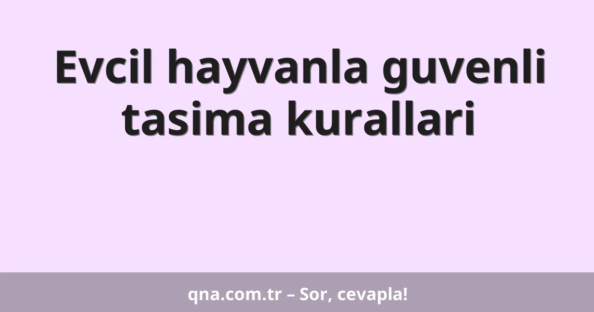 Evcil hayvanla guvenli tasima kurallari