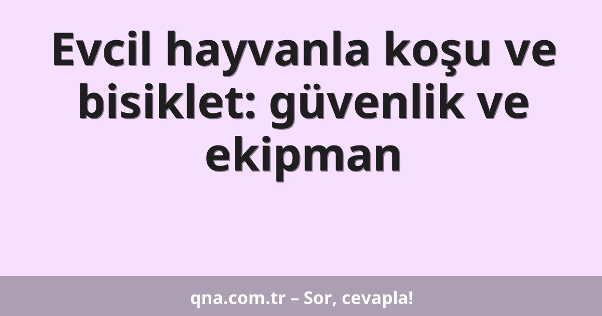 Evcil hayvanla koşu ve bisiklet: güvenlik ve ekipman