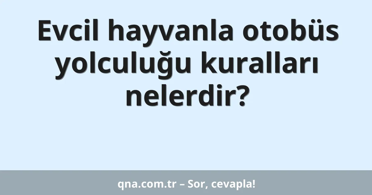 Evcil hayvanla otobüs yolculuğu kuralları nelerdir?