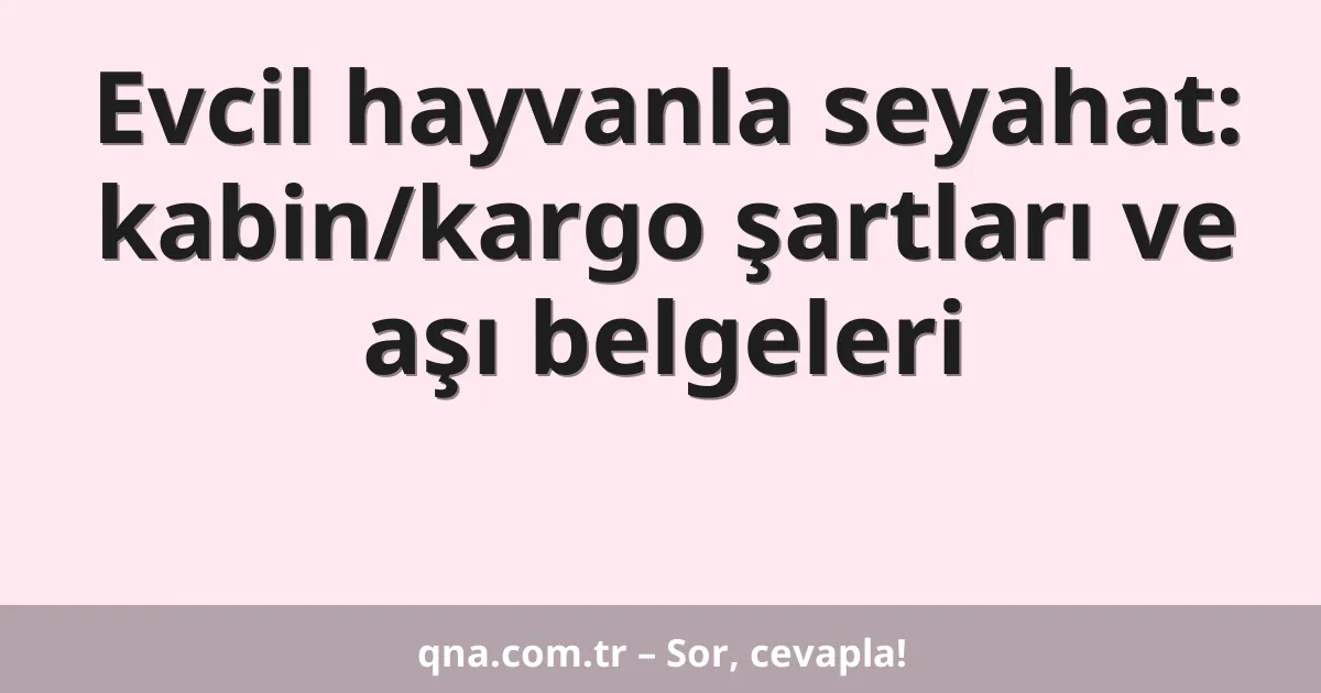 Evcil hayvanla seyahat: kabin/kargo şartları ve aşı belgeleri