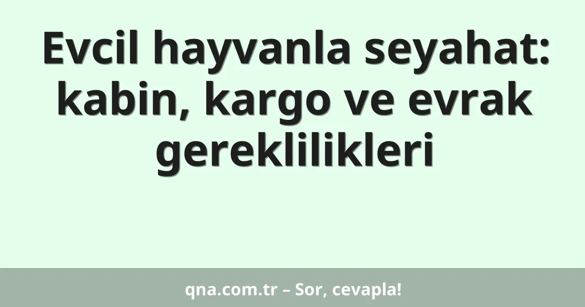 Evcil hayvanla seyahat: kabin, kargo ve evrak gereklilikleri